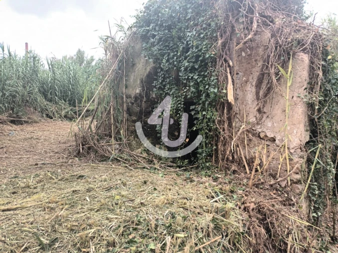 Terreno Agricola ou Rústico para Venda em Alfeizerão Foto 7