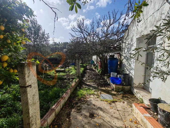 Moradia T6 para Venda em Santana da Serra Foto 21