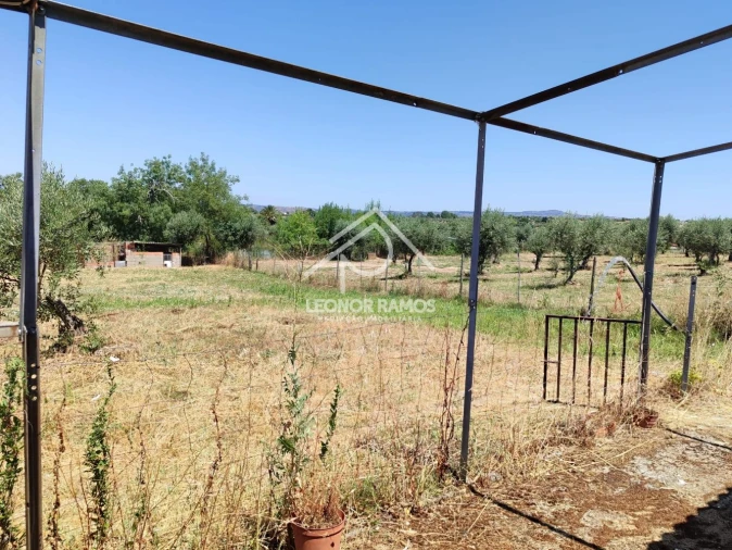 Terreno para Venda em Ladoeiro Foto 13