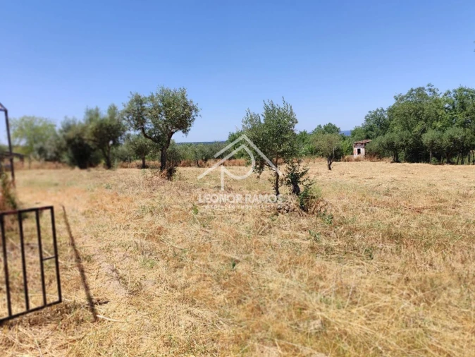 Terreno para Venda em Ladoeiro Foto 7