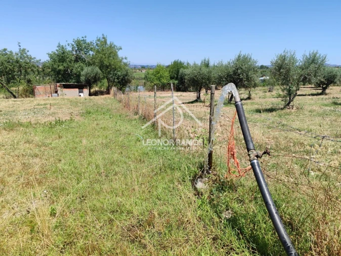 Terreno para Venda em Ladoeiro Foto 8