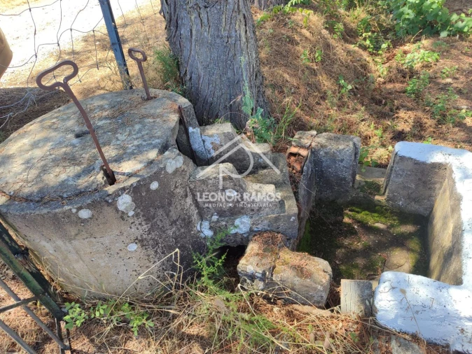Terreno para Venda em Ladoeiro Foto 11