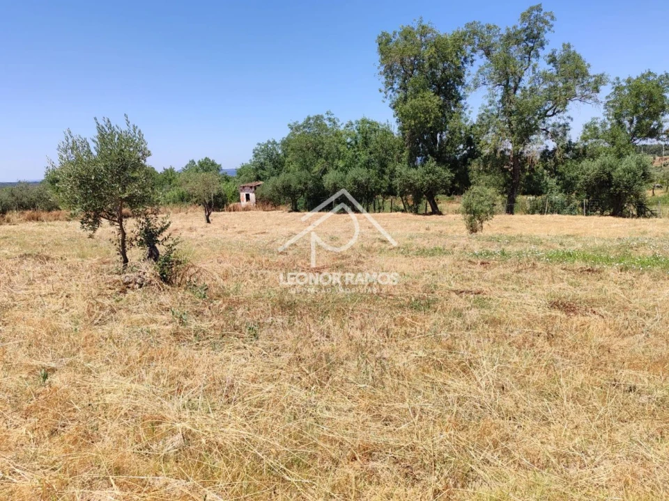 Terreno para Venda em Ladoeiro Foto 6