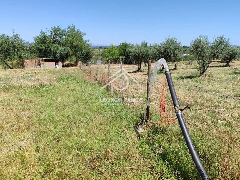 Terreno para Venda em Ladoeiro Foto 8