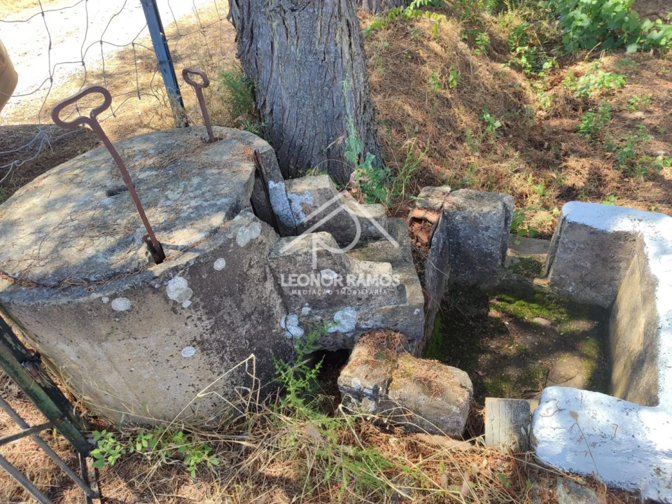 Terreno para Venda em Ladoeiro Foto 11