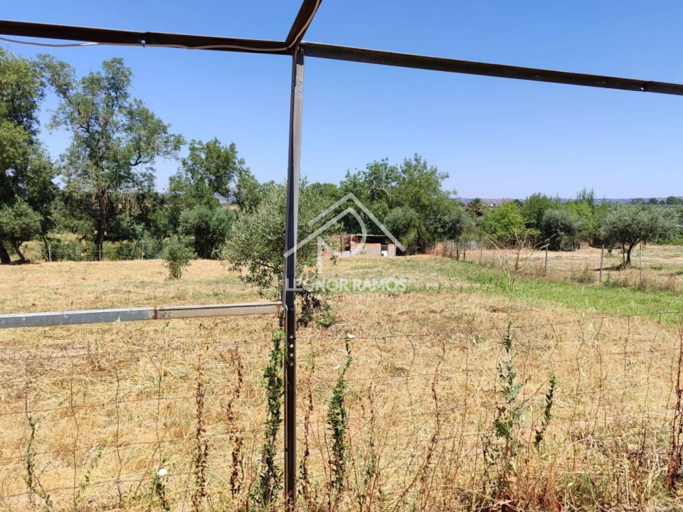Terreno para Venda em Ladoeiro Foto 4