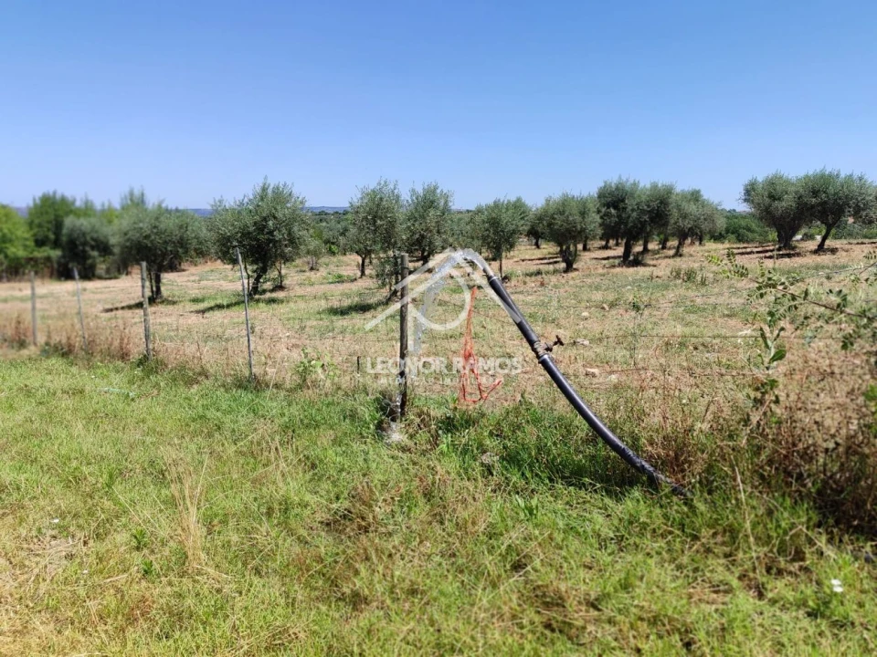 Terreno para Venda em Ladoeiro Foto 10