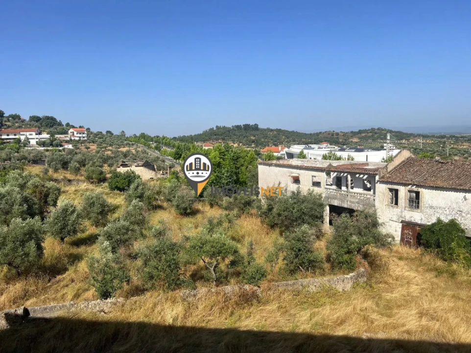 Quinta T3 para Venda em Castelo Branco Foto 48