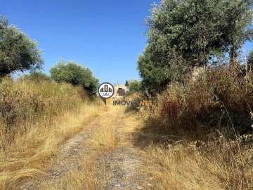 Quinta T3 para Venda em Castelo Branco