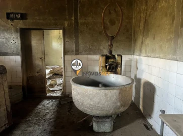 Quinta T3 para Venda em Castelo Branco
