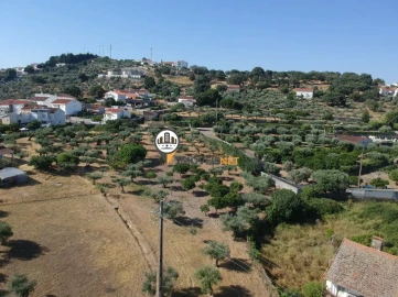 Quinta T3 para Venda em Castelo Branco