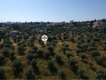 Quinta T3 para Venda em Castelo Branco