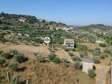 Quinta T3 para Venda em Castelo Branco