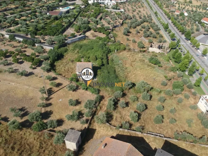 Quinta T3 para Venda em Castelo Branco Foto 17