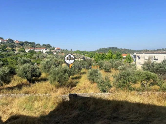 Quinta T3 para Venda em Castelo Branco Foto 41