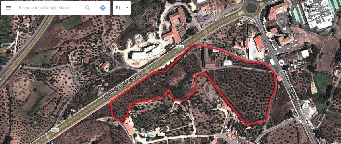 Quinta T3 para Venda em Castelo Branco Planta 1