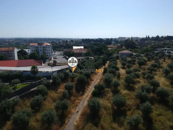 Quinta T3 para Venda em Castelo Branco Foto 10
