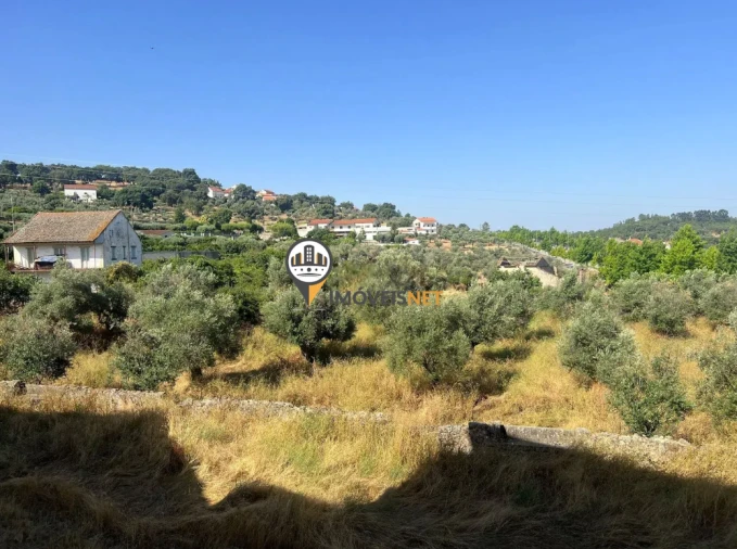Quinta T3 para Venda em Castelo Branco Foto 43