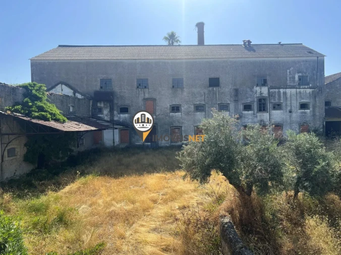 Quinta T3 para Venda em Castelo Branco Foto 54