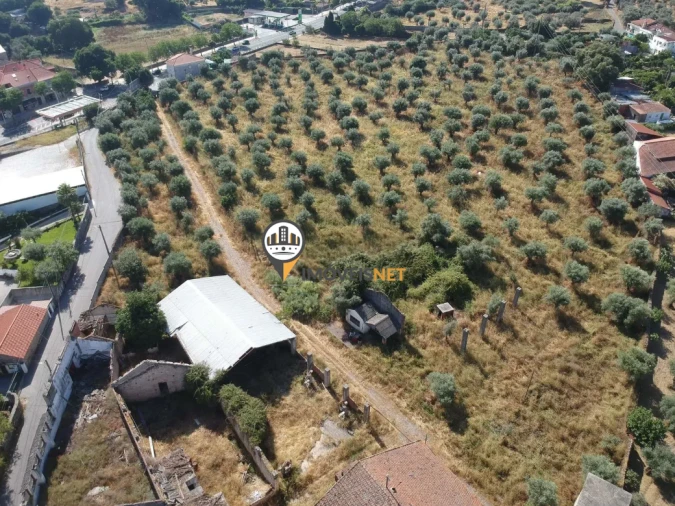 Quinta T3 para Venda em Castelo Branco Foto 18