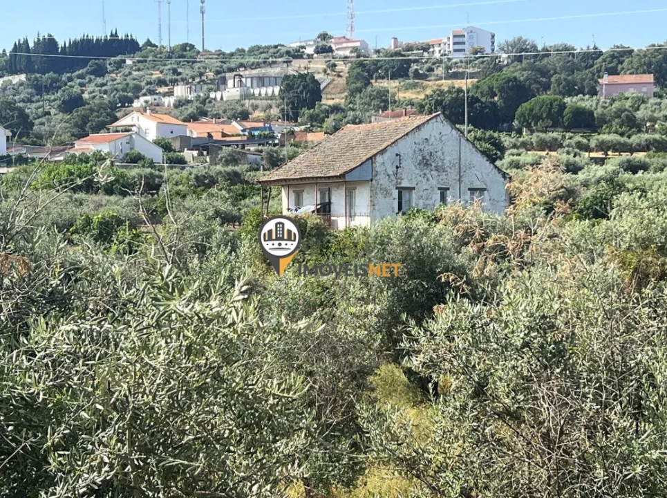 Quinta T3 para Venda em Castelo Branco Foto 55