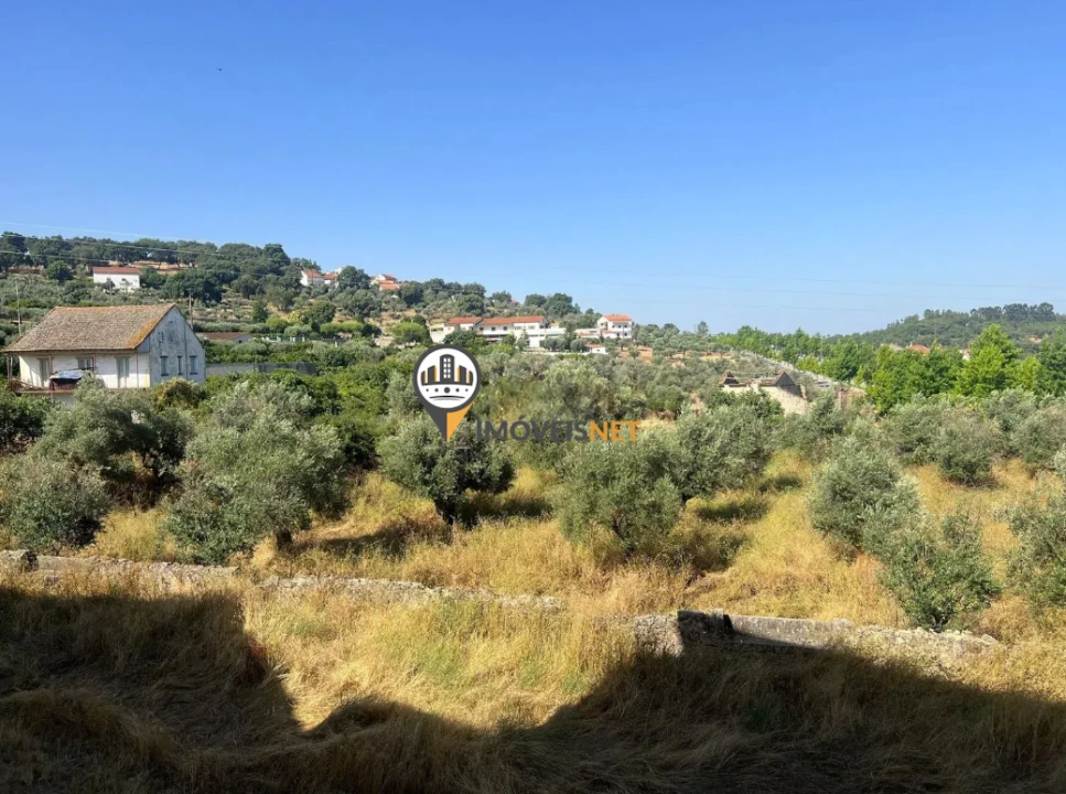 Quinta T3 para Venda em Castelo Branco Foto 43