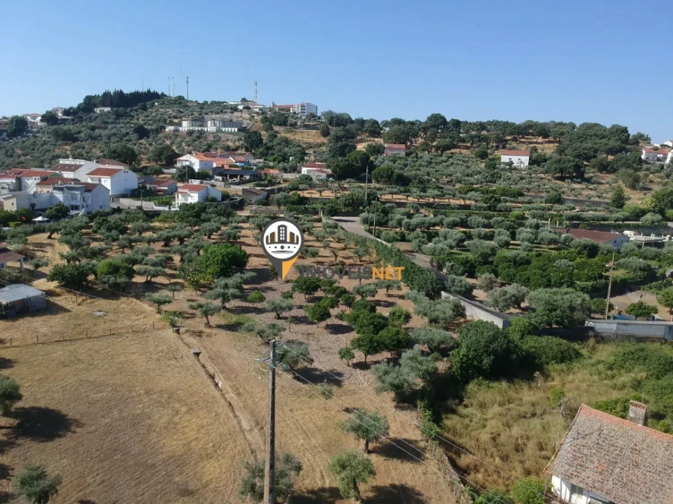 Quinta T3 para Venda em Castelo Branco Foto 5