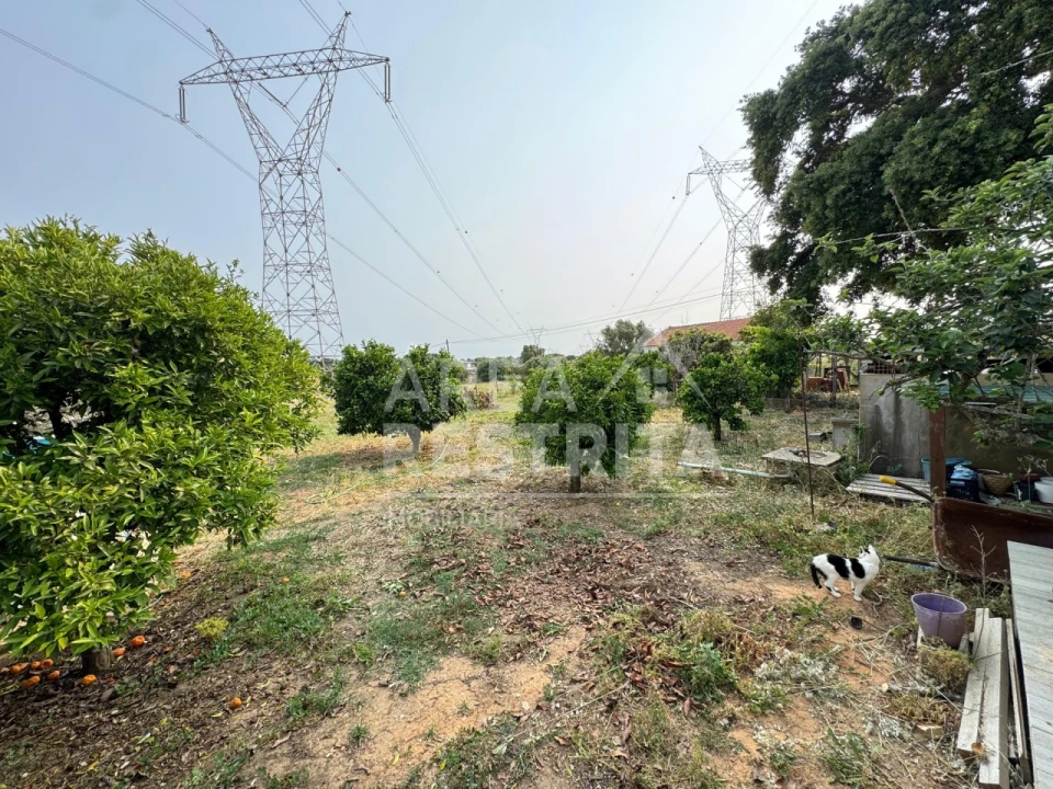 Quinta T4 para Venda em Santiago do Cacém, Santa Cruz e São Bartolomeu da Serra Foto 37