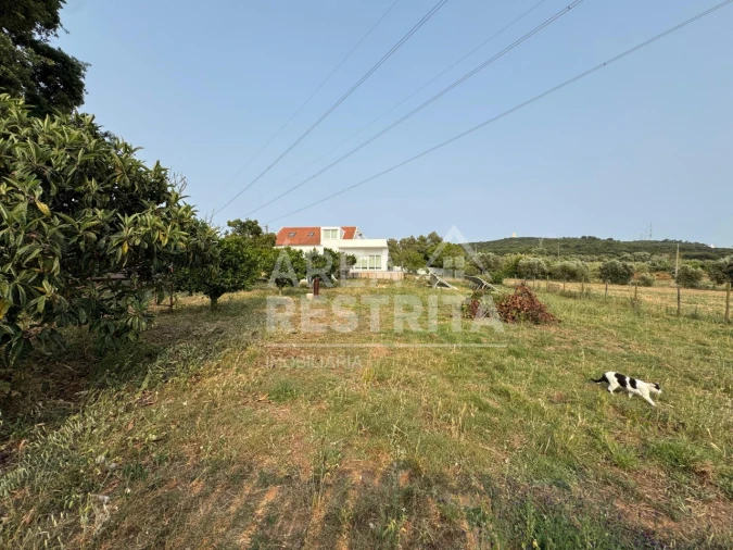 Quinta T4 para Venda em Santiago do Cacém, Santa Cruz e São Bartolomeu da Serra Foto 43