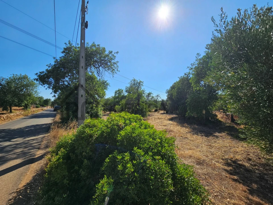 Terreno Agricola ou Rústico para Venda em Quarteira Foto 2
