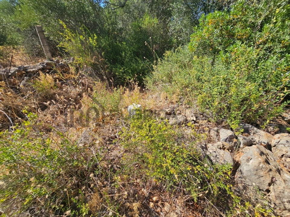 Terreno Agricola ou Rústico para Venda em Quarteira Foto 8