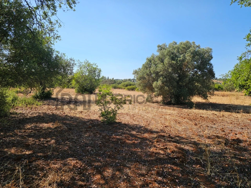 Terreno Agricola ou Rústico para Venda em Quarteira Foto 9