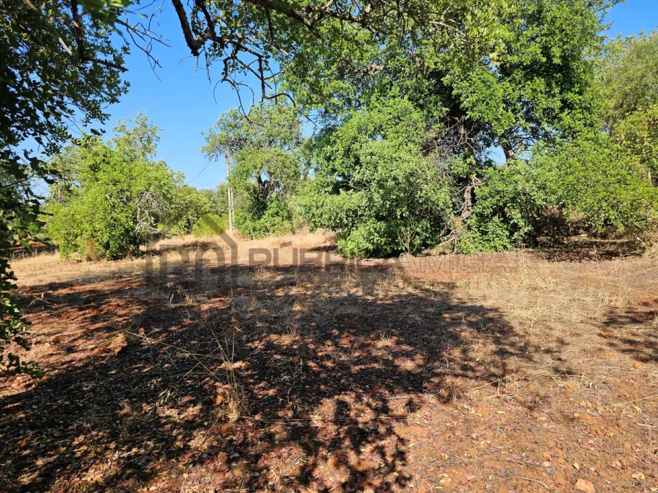 Terreno Agricola ou Rústico para Venda em Quarteira Foto 10