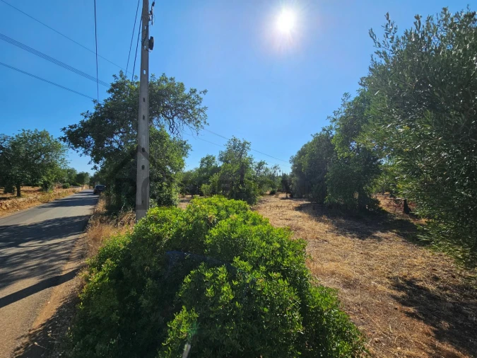 Terreno Agricola ou Rústico para Venda em Quarteira Foto 2