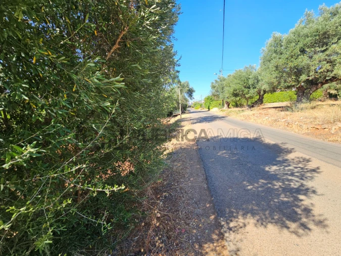 Terreno Agricola ou Rústico para Venda em Quarteira Foto 3