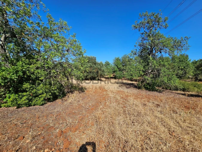 Terreno Agricola ou Rústico para Venda em Quarteira Foto 4