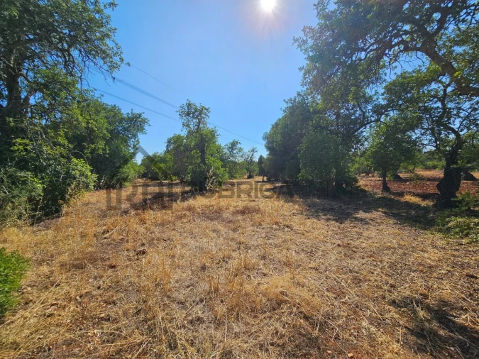Terreno Agricola ou Rústico para Venda em Quarteira Foto 5
