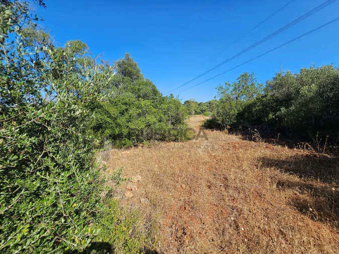 Terreno Agricola ou Rústico para Venda em Quarteira Foto 6