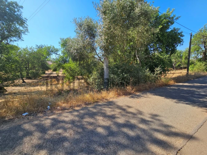 Terreno Agricola ou Rústico para Venda em Quarteira Foto 11