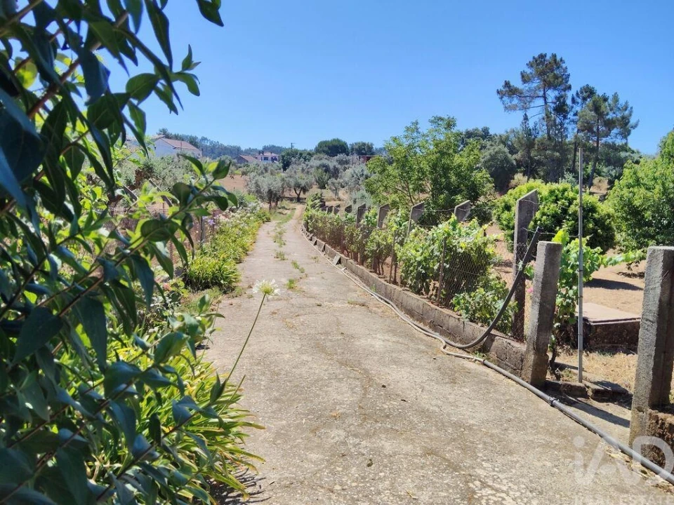 Terreno para Venda em Castelo Foto 25