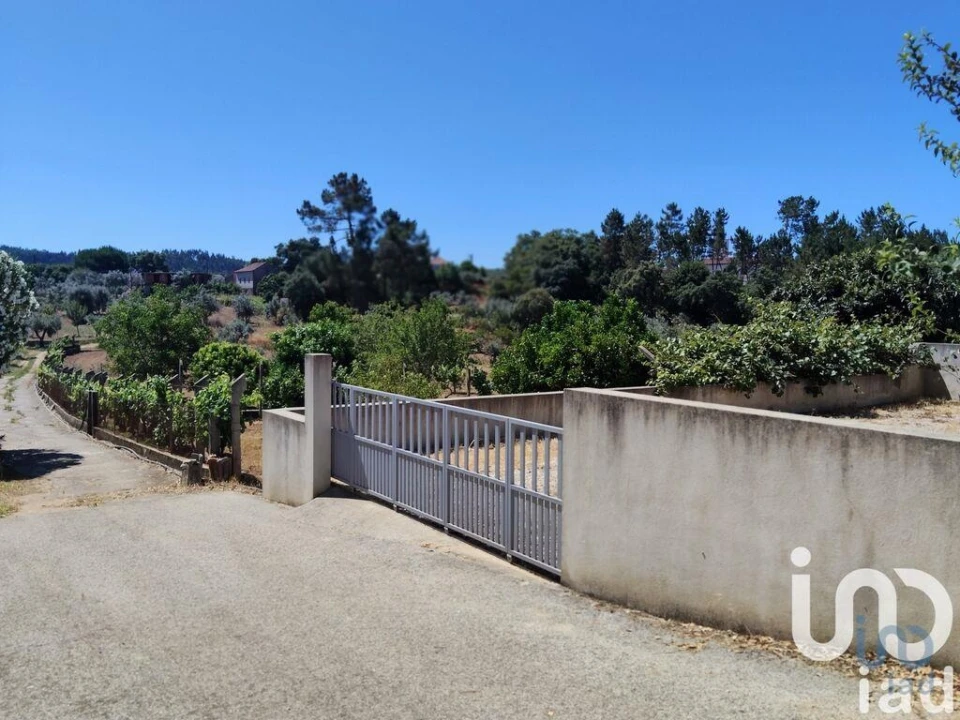 Terreno para Venda em Castelo Foto 1