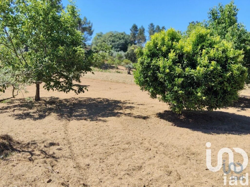 Terreno para Venda em Castelo Foto 9