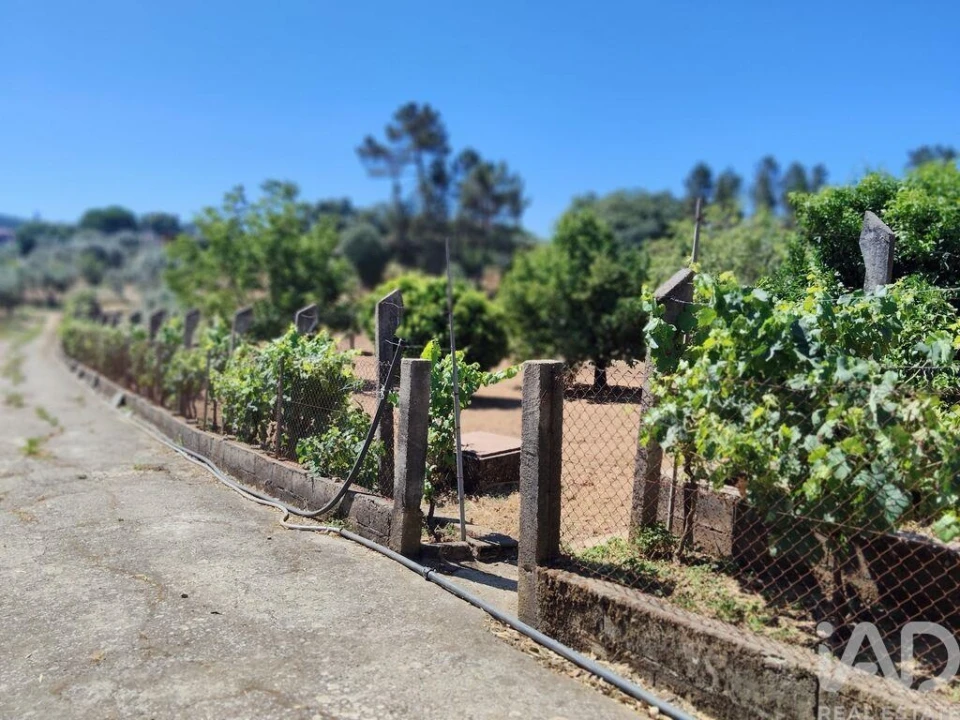 Terreno para Venda em Castelo Foto 30