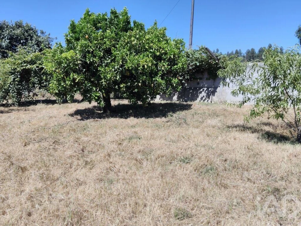 Terreno para Venda em Castelo Foto 23