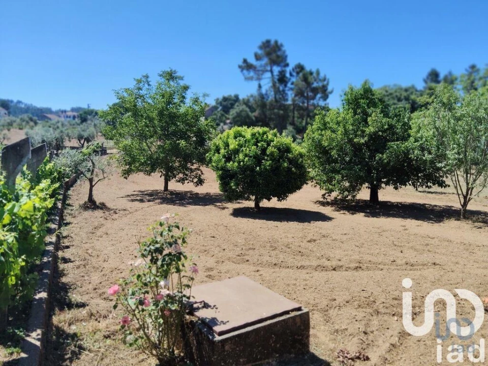 Terreno para Venda em Castelo Foto 5