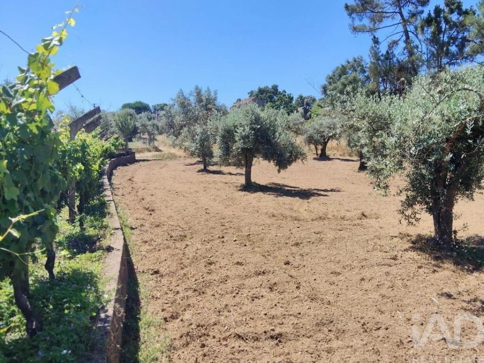Terreno para Venda em Castelo Foto 32