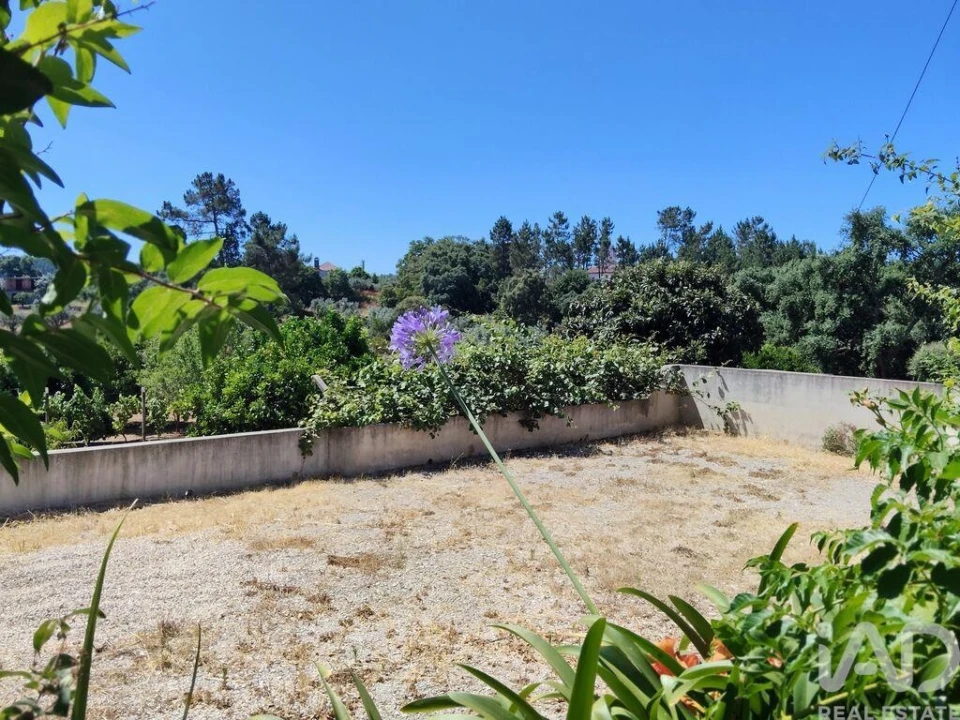 Terreno para Venda em Castelo Foto 18