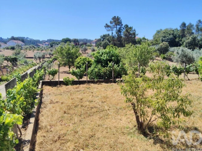 Terreno para Venda em Castelo Foto 20