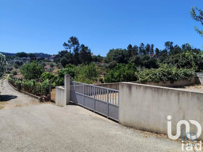 Terreno para Venda em Castelo Foto 1