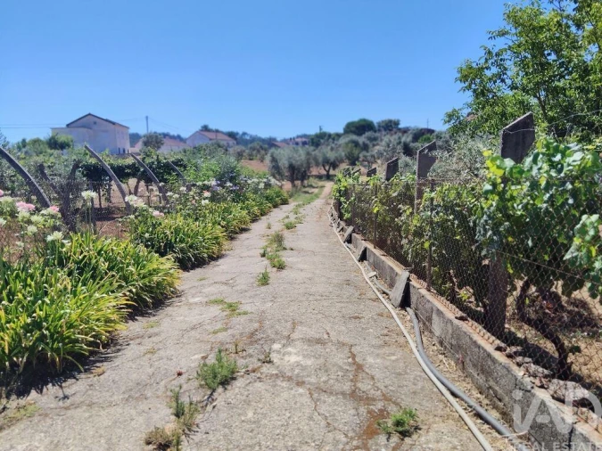 Terreno para Venda em Castelo Foto 28